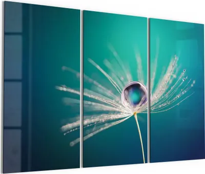 Produktbild von DEQORI Glasbild Echtglas 3x50x100 cm 'Inszenierte Wasserperle' Wandbilder XXL groß