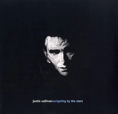 Zdjęcie produktu dla Justin Sullivan - Navigating By the Stars Vinyl