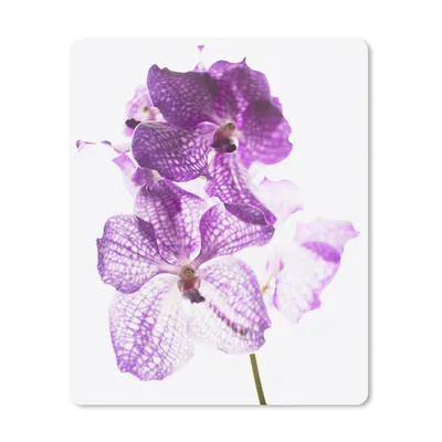 Produktbild von MuchoWow® Mauspad Mousepad Lila Orchideen 30x40 cm - Mousepads - Maus Mat - Pad - Mausunterlage - Mausmatten