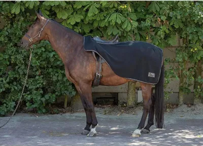 Produktbild von Harry´s Horse Fleece Abschwitzdecke Für Pferde Schwarz M Schwarz M