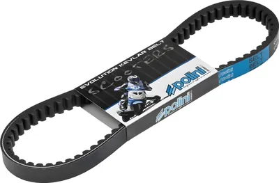 Produktbild von Keilriemen Polini Aramid-Evolution für Gilera / (Gilera Runner Piaggio NRG Purejet) Aprilia, Di-Tech (Piaggio), Sportcity Street, SR 50 R, Funmaster, Racing, Sport, Derbi, Atlantis, Bullet, GP 1, Gilera, ICE, Runner, Stalker, Typhoon-X, Italjet, Jet Set, Torpedo, Piaggio, MC2, Extreme, DD, DT, Purejet, TPH (ab Bj. 2001)
