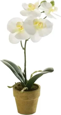 Produktbild von Emerald Künstliche Orchidee - Louisa | 25 cm, inkl. Dekotopf, für drinnen, Kunstblume, wie echt, Allergiker geeignet, pflanzliche Dekoration Praxis, Office & Wohnzimmer
