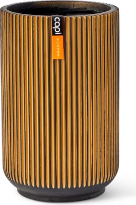 A tall, cylindrical planter with a ribbed gold exterior and a black base and interior.