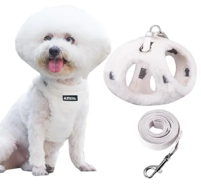 Produktbild von Reflektierendes Hundegeschirr mit Leine, Westendesign, Weiß XXXS