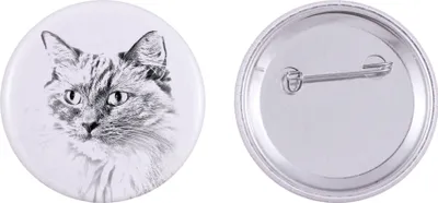 Produktbild von Ragdoll - Sammlung von einzigartigen Magneten, eigenes Foto, Marke Art-Dog