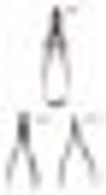 Immagine prodotto di Pinze per la pelle (Titania),