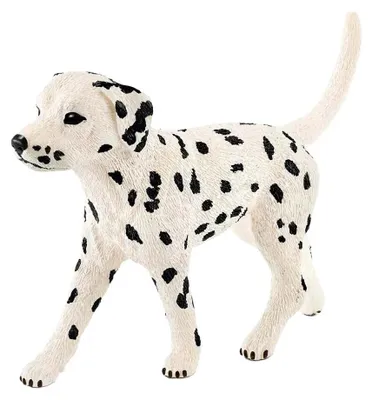 Produktbild von Schleich Male Dalmatian Figur Beige,Weiß Kinder Beige,Weiß One Size