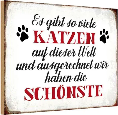 Produktbild von vianmo Holzschild 20x30 cm wir haben die schönste Katze Tier Haustier