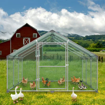 Produktbild von LZQ Outdoor Hühnerstall Hühnerhaus Dach Geflügelstall Verzinkter Stahlrahmen mit PE 3 x 6 x 2 m