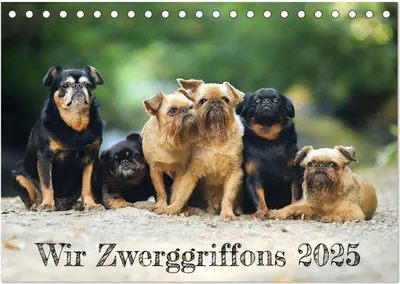 Produktbild von Wir Zwerggriffons 2025 (Tischkalender 2025 DIN A5 quer), CALVENDO Monatskalender