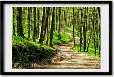 Produktbild von Bild 60x40 MDF-Rahmen, Wandkunst Der Weg in den Wald