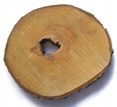Produktbild von Holzscheibe Birke mit Loch, für Harz, 28-33 cm