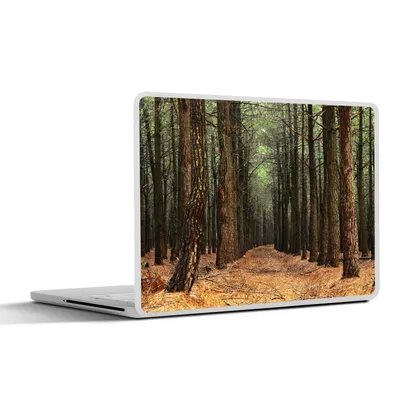 Produktbild von MuchoWow® Laptop Aufkleber Sticker Cover Herbst - Dekoration - Wald 25x18 cm - Laptop-Deko