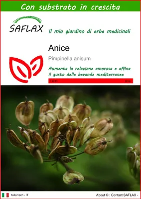 Immagine prodotto di SAFLAX - anice - 200 semi - Con substrato - Pimpinella