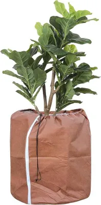Obrázok produktu pre Zimná ochrana pre rastliny – vodotesný a priedušný obal so zipsom, 50 x 45 cm