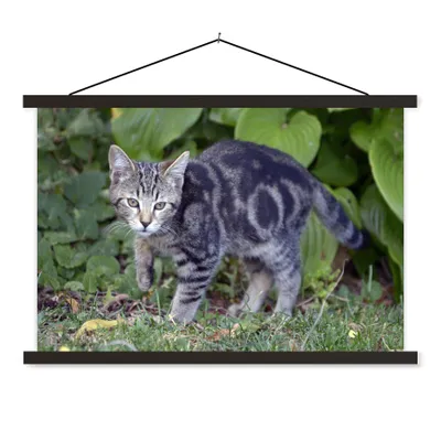 Produktbild von MuchoWow® Textilposter Katze - Haustier - Garten - Mädchen - Kinder - Kinder - Kind 60x40 cm mit schwarzem Rahmen - Hölzernes