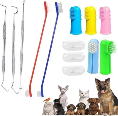Produktbild von Famanu Hundezahnbürsten-Set - inklusive Katzenzahnbürste und Zahnsteinentferner