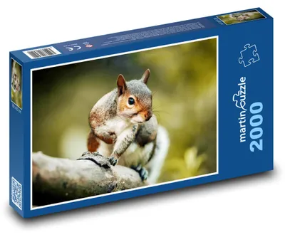 Obrázok produktu pre martinpuzzle - Puzzle 2000 - Vevericka - hlodavec, živocích