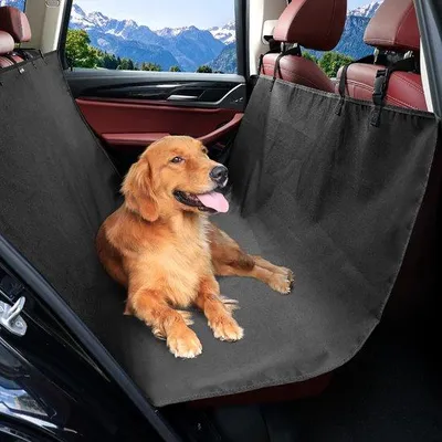 Obrázok produktu pre Kúpeľná podložka pre psov, 600D Oxford, vodotesná, protišmyková a odolná proti poškriabaniu, univerzálna, 146 x 146 cm