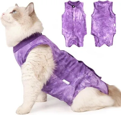 Image de Vêtements pour chats domestiques - Gilets postopératoires - Vêtements résistants aux intempéries pour animaux de compagnie - Bleu (M)
