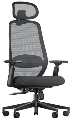 Ergonomischer Bürostuhl mit Lendenstütze, Gleitsitz, 3D-Kopfstütze – Schwarz