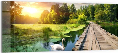 Produktbild von DEQORI Glasbild Echtglas 150x60 cm 'Idyllischer See' Wandbild Bild modern Deko