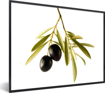 Produktbild von MuchoWow® Gerahmtes Poster Olivenzweige vor einem weißen Hintergrund 80x60 cm - Poster mit Schwarzem Bilderrahmen Wandposter Rahmen Foto Bilder - Schwarzem - Mit Gestell