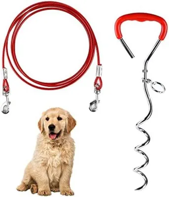 Immagine prodotto di Guinzaglio con picchetto, guinzaglio da fissaggio, lunghezza 10 m, per cani