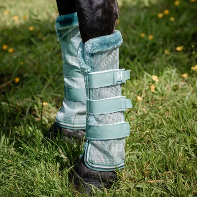 Obrázok produktu pre Horseware Newmarket Fly Boots, veľkosť: L, farba: Witney Dynasty