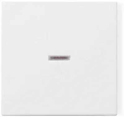 Produktbild von GIRA Wippe mit Kontrollfenster System 55, 029003, reinweiß, glänzend