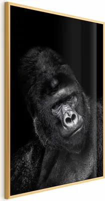 Produktbild von Posterpapier Poster - Gorilla 29.7x42 cm Tiere g-B-0113-ao-a