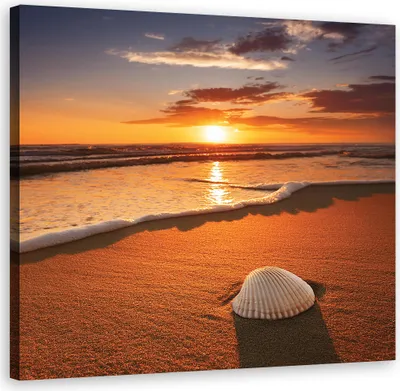 Produktbild von Leinwandbild Muscheln Natur 50x50 Feeby Orange bild für die wand bereit zum aufhängen