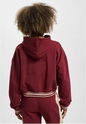 Immagine prodotto di Felpa con cappuccio Rocawear Kansas bordeaux da uomo - M