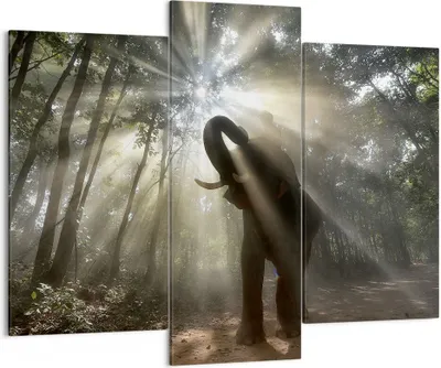 Produktbild von Bild auf Leinwand - Leinwandbild - Elefant Dschungel  - 130x100cm - Wand Bild - Wanddeko - Leinwanddruck - Bilder - Kunstdruck - Wanddekoration - Leinwand bilder - Wandkunst - CB130x100-3835