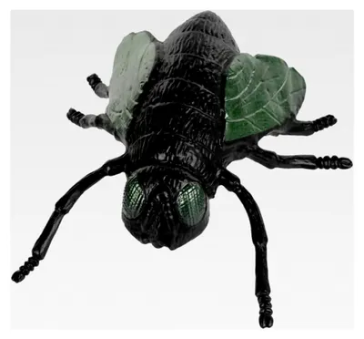 Produktbild von Große mutierte Fliege 15 cm - Halloween Dekoration