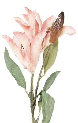 Produktbild von Clayre & Eef Kunstblume 88 cm Rosa Kunststoff