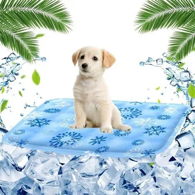 Immagine prodotto di Tappetino rinfrescante 40x50 cm, lavabile, autorinfrescante, per cani di piccola taglia e gatti