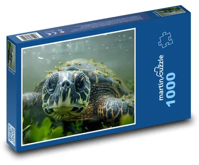 Obrázok produktu pre Puzzle 1000 Korytnačka pod vodou - martinpuzzle