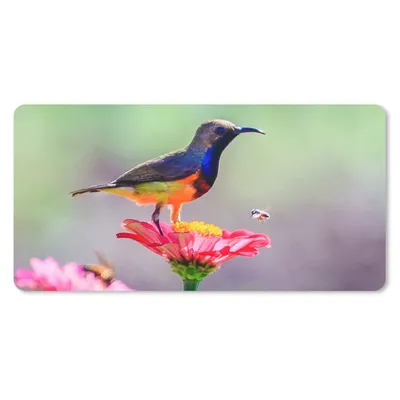 Produktbild von MuchoWow® Mauspad Mousepad Nahaufnahme eines Kolibris auf rosa Blüten 60x30 cm - Mousepads - Maus Mat - Pad - Mausunterlage - Nachhaltig