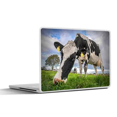 Produktbild von MuchoWow® Laptop Aufkleber Sticker Cover Kühe - Tags - Tiere 30x21 cm - Sticker für Laptop - Selbstklebend