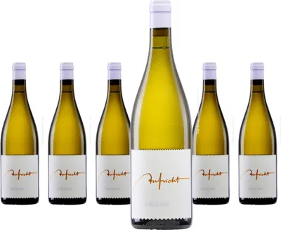 Produktbild von 6 x Aufricht Blanc de Noir trocken