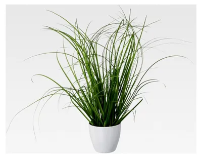 Produktbild von Künstlicher Grasbusch 40 cm im weißen Kunststofftopf
