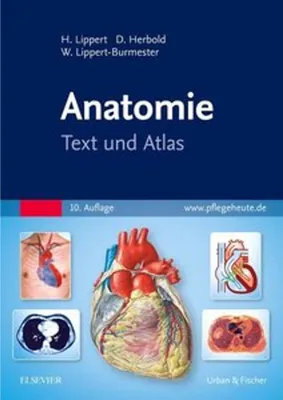 Produktbild von Anatomie