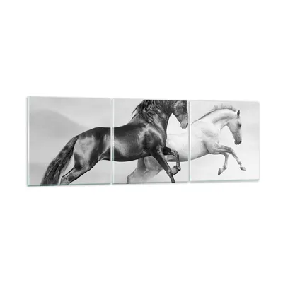 Produktbild von Bilder auf glas - Pferde Tiere Galopp Wiese - 90x30cm - Glasbilder - Wandbilder - Kunstdruck - zum Aufhängen bereit - Wanddekoration aus Glas - Glas Bilder - Wandbild auf Glas - GCA90x30-2683