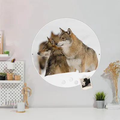 Produktbild von Design Stahlmagnettafel Weiß Rund 47cm Wölfe