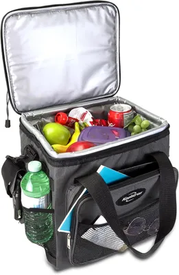 Immagine prodotto di Borsa frigo portatile elettrica, capacità 13 litri, con tecnologia termo-elettrica, a 12V, ideale per auto e campeggio, colore nero e grigio
