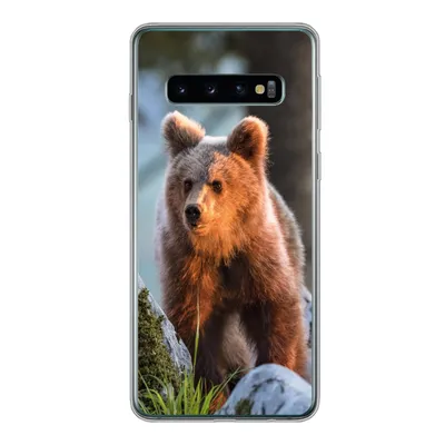 Produktbild von MuchoWow® Handyhülle Schutzhülle Hülle für Samsung Galaxy S10 Bär - Braun - Tier Silikon Softcase Handy Hülle - Handytasche