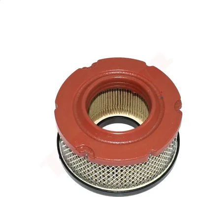 Produktbild von Luftfilter Für B&S ( 797819 ) 76X38X48