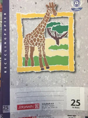 Produktbild von BRUNNEN Schulheft A4 Lineatur 25 16 Blatt Recyclingpapier