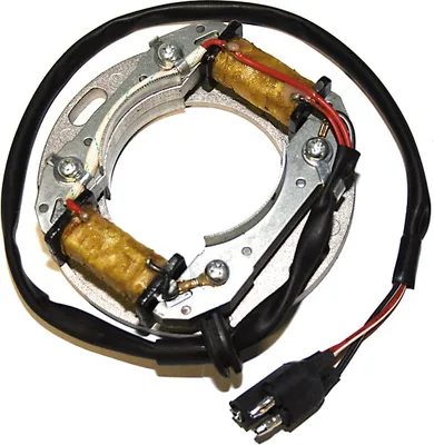 Immagine prodotto di Statore ElectroSport ESC8081 per alternatore per